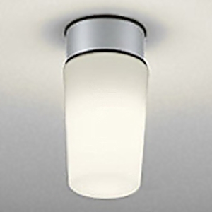 オーデリック LEDポーチライト 防雨・防湿型 白熱灯器具60W相当 LED電球ミニクリプトン形 口金E17 電球色 ねじ込式 壁面・天井面取付兼用 OW009395LC