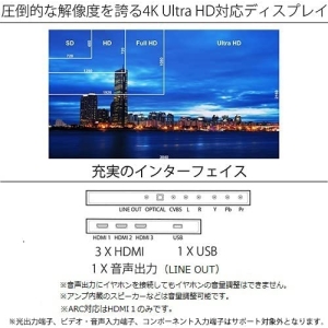 JAPANNEXT 法人様限定 法人モデル 43インチ 大型液晶ディスプレイ 4K HDR PCモニター 代引き決済不可 法人様限定 法人モデル 43インチ 大型液晶ディスプレイ 4K HDR PCモニター 代引き決済不可 JN-HDR430JPS4K 画像4
