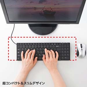 サンワサプライ 英語配列USBスリムキーボード 英語配列USBスリムキーボード SKB-E2UN 画像2