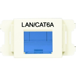 パンドウイット JISプレート用シャッター付きアダプタ オフホワイト LAN・CAT6A (10個入) CMASSP6AIW-X
