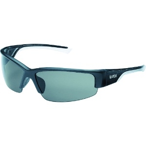 UVEX 二眼型保護メガネ ポーラビジョン9231(偏光レンズ) 9231960