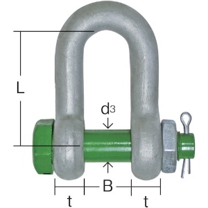 大洋 グリーンピンスタンダードシャックル ストレート・ボルトナット 2t グリーンピンスタンダードシャックル ストレート・ボルトナット 2t GPSB-2T 画像2