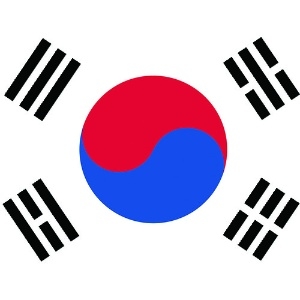 東京製旗 卓上旗(16×24cm)大韓民国 卓上旗(16×24cm)大韓民国 406402