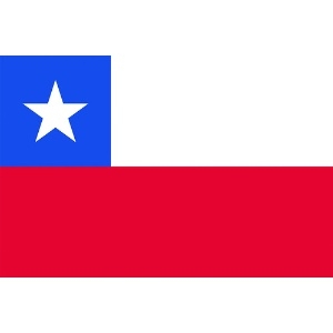 東京製旗 卓上旗(16×24cm)チリ 卓上旗(16×24cm)チリ 406427