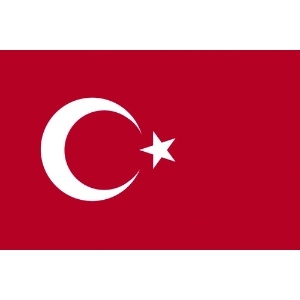 東京製旗 卓上旗(16×24cm)トルコ 406485