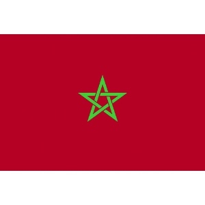 東京製旗 卓上旗(16×24cm)モロッコ 卓上旗(16×24cm)モロッコ 406786