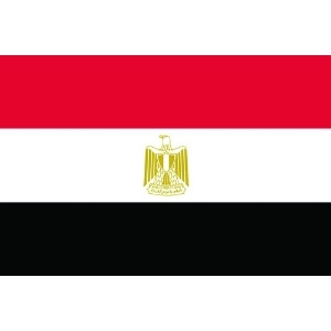 東京製旗 国旗No.1(70×105cm) エジプト・アラブ 416163