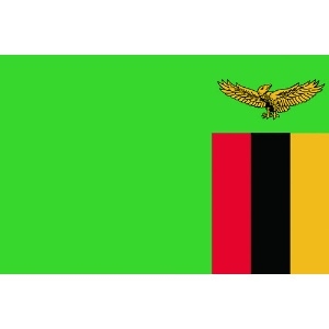 東京製旗 国旗No.1(70×105cm) ザンビア 国旗No.1(70×105cm) ザンビア 416304