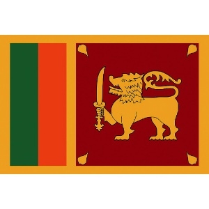 東京製旗 国旗No.1(70×105cm) スリランカ 国旗No.1(70×105cm) スリランカ 416347