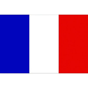 東京製旗 国旗No.1(70×105cm) フランス 416647