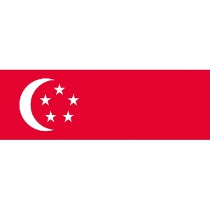 東京製旗 国旗No.2(90×135cm) シンガポ-ル 国旗No.2(90×135cm) シンガポ-ル 426326