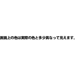 KANSAI 油性シリコンラッカースプレー とうめい 420ML 油性シリコンラッカースプレー とうめい 420ML 00587644002420 画像2