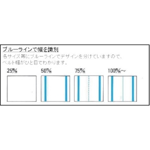 TESAC 耐化学薬品用スリング(JIS2等級・両端アイ形)25mm幅×3m 耐化学薬品用スリング(JIS2等級・両端アイ形)25mm幅×3m PP2E25X3 画像2