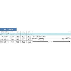 TESAC 耐化学薬品用スリング(JIS2等級・両端アイ形)25mm幅×3m 耐化学薬品用スリング(JIS2等級・両端アイ形)25mm幅×3m PP2E25X3 画像4