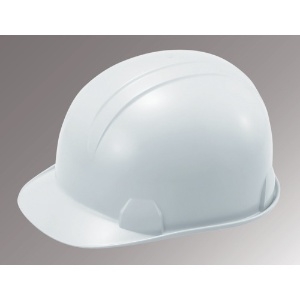 タニザワ ABS製ヘルメット 帽体色 ホワイト 181-FZ-W1-J