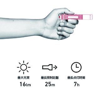 LEDLENSER 懐中電灯(LED) P2 懐中電灯(LED) P2 8402 画像2