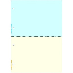 ヒサゴ プリンタ帳票A4カラー2面4穴 プリンタ帳票A4カラー2面4穴 FSC2011 画像2