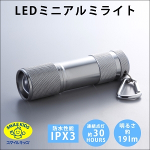旭電機化成 LEDミニアルミライト LEDミニアルミライト APL-4302S