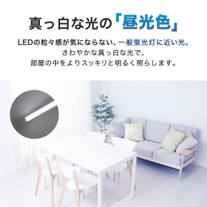 エコデバイス 20形相当 LED直管ランプ(昼光色) 工事不要ランプ ALL FREE 20形相当 LED直管ランプ(昼光色) 工事不要ランプ ALL FREE EDLTL20LED-28N 画像2