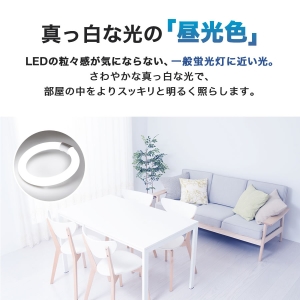 エコデバイス 【お買い得品 10本セット】32形 LEDサークルランプ(昼光色) 工事不要ランプ 【お買い得品 10本セット】32形 LEDサークルランプ(昼光色) 工事不要ランプ EFCL32LED/28N_set 画像2