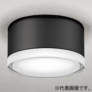 オーデリック LED小型ポーチライト 防雨型 高演色LED 白熱灯器具100W相当 LED電球フラット形 口金GX53-1a 昼白色 壁面・天井面・傾斜面取付兼用 黒色 OG254599NR