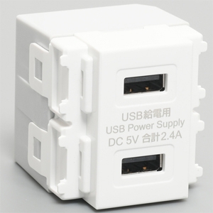 アメリカン電機 埋込USB給電コンセント USB2個口 2.4A 5V 差し込み式 知能IC搭載 白 埋込USB給電コンセント USB2個口 2.4A 5V 差し込み式 知能IC搭載 白 A200W