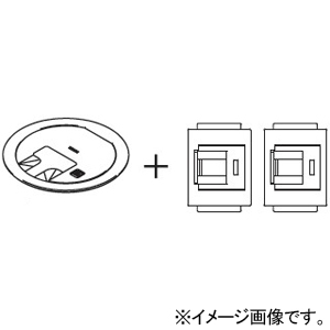 TERADA(寺田電機製作所) プラグ収納コンセントプレート器具 ≪テラコン≫ プレート+CAT5E×2 LCRシリーズ 電線管床工事用 シャンパンゴールド プラグ収納コンセントプレート器具 ≪テラコン≫ プレート+CAT5E×2 LCRシリーズ 電線管床工事用 シャンパンゴールド LCR10093M020 画像2