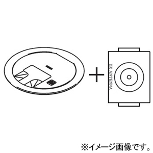 TERADA(寺田電機製作所) プラグ収納コンセントプレート器具 ≪テラコン≫ プレート+TV端末(4K/8K対応)×1 LCRシリーズ 電線管床工事用 シャンパンゴールド プラグ収納コンセントプレート器具 ≪テラコン≫ プレート+TV端末(4K/8K対応)×1 LCRシリーズ 電線管床工事用 シャンパンゴールド LCR10021M020 画像2