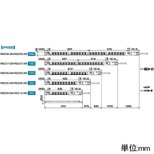 TERADA(寺田電機製作所) 【受注生産品】100Vコンセントバー スリムタイプ 20A対応 接地2P15A125V抜止×12口 コード長3m 【受注生産品】100Vコンセントバー スリムタイプ 20A対応 接地2P15A125V抜止×12口 コード長3m R6006-3M 画像2