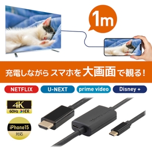 ラトックシステム TypeC-HDMI変換ケーブル PD対応 長さ1m TypeC-HDMI変換ケーブル PD対応 長さ1m RS-UCHD4K60-1M 画像2