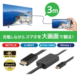 ラトックシステム TypeC-HDMI変換ケーブル PD対応 長さ3m TypeC-HDMI変換ケーブル PD対応 長さ3m RS-UCHD4K60-3M 画像2