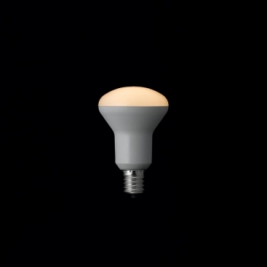 ヤザワ R50ミニレフ形LED電球 電球色 E17 非調光タイプ LDR4LHE17