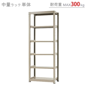 北島 【法人限定/代引き不可】 中量300K 単体 W900×D450×H2400 ニューアイボリー 【法人限定/代引き不可】 中量300K 単体 W900×D450×H2400 ニューアイボリー 58383306074