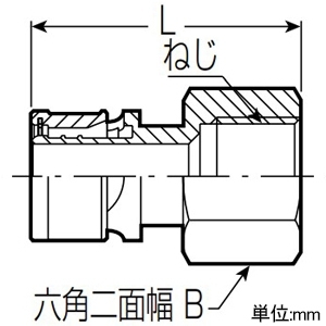 未来工業 水栓アダプター Wタイプ継手 めねじ Rp1/2ねじ 架橋ポリエチレン管10 水栓アダプター Wタイプ継手 めねじ Rp1/2ねじ 架橋ポリエチレン管10 WM-10A-15 画像2