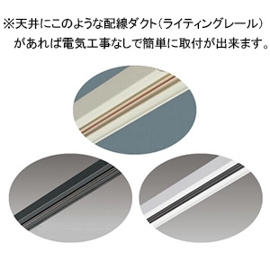 遠藤照明 LEDスポットライト プラグタイプ D240 CDM-TC70W器具相当 狭角配光 非調光 白色 黒 LEDスポットライト プラグタイプ D240 CDM-TC70W器具相当 狭角配光 非調光 白色 黒 ERS5926BA 画像3