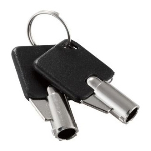 ELECOM 【受注生産品】子鍵 ESL-7I用 2本セット 【受注生産品】子鍵 ESL-7I用 2本セット ESL-7IKEY
