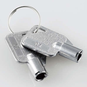 ELECOM 【受注生産品】子鍵 ESL-ST01 02用 2本セット 【受注生産品】子鍵 ESL-ST01 02用 2本セット ESL-STKEY