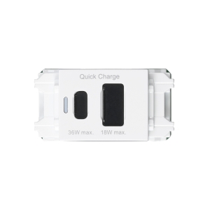 ヤザワ 埋込USBコンセントPD36Wホワイト 埋込USBコンセントPD36Wホワイト H4USB20PD36WH 画像2
