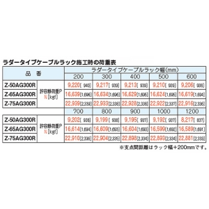 ネグロス電工 長穴付きアングル サイズ50×50mm 定尺3m 溶融亜鉛めっき仕上げ 長穴付きアングル サイズ50×50mm 定尺3m 溶融亜鉛めっき仕上げ Z-50AG300R 画像5