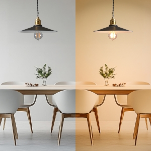 電材堂 E26ペンダントライトスタンダード E26ペンダントライトスタンダード PDX60X01DNZ 画像2