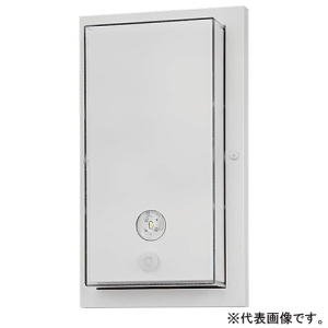 パナソニック 【受注生産品】点滅装置 LED誘導灯用 壁・天井直付兼用型 防湿・防水型 電池内蔵形 FW90032K