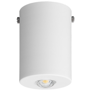 パナソニック 非常用照明器具 専用形 直付型 LED低〜中天井用(〜6m) ハロゲン電球50形相当 昼白色 電源別置形 クールホワイト NNFB84005