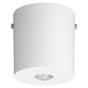 パナソニック 非常用照明器具 専用形 直付型 LED中〜特高天井用(6〜16m) ハロゲン電球100形相当 昼白色 電源別置形 クールホワイト NNFB87009