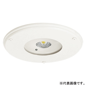 パナソニック 非常用照明器具 専用形 埋込型 LED中〜特高天井用(6〜16m) クリーンルーム向け ハロゲン電球100形相当 昼白色 埋込穴φ175mm 電源別置形 NNFB87819