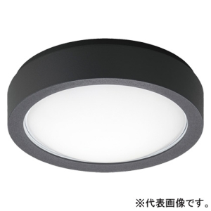 パナソニック 【受注生産品】防雨型シーリングライト 非常用照明器具 ブラケット兼用型 階段通路誘導灯兼用型 壁・天井直付型 30分間タイプ 高光束タイプ FCL30形1灯器具相当 ベーシックタイプ 非調光 温白色 ブラック NWCF16523LE1