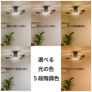 ホタルクス LEDシーリングファン 〜6畳用 5段階調色 5段階調光 ゆらぎ機能 風量6段階 LEDシーリングファン 〜6畳用 5段階調色 5段階調光 ゆらぎ機能 風量6段階 XZF-06433KRCSG 画像3