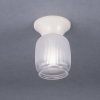 ラッキー 【生産完了品】小形シーリング ガラス(透明・フロスト仕上) 電球形蛍光灯付属(60W形 電球色) 壁スイッチ点灯 LEK-11231