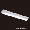 東芝 【生産完了品】LEDバー 20タイプ 800lmタイプ FL20形×1灯相当 昼白色 5000K 《AQシリーズ》 LEM-00822N-01