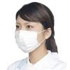 カスタム 【生産完了品】マスク 一般作業用 50枚入 マスク 一般作業用 50枚入り SP-105 画像1