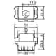 パナソニック フルカラー 埋込ISDN用モジュラジャック 8極8心 フルカラー 埋込ISDN用モジュラジャック 8極8心 WNT1881K 画像2